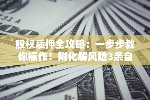 北京股权质押全攻略：一步步教你操作！附化解风险3条自救法则