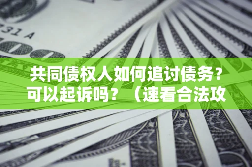 北京共同债权人如何追讨债务？可以起诉吗？（速看合法攻略）
