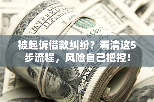 北京被起诉借款纠纷？看清这5步流程，风险自己把控！